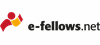 Firmenlogo: e-fellows.net GmbH & Co. KG